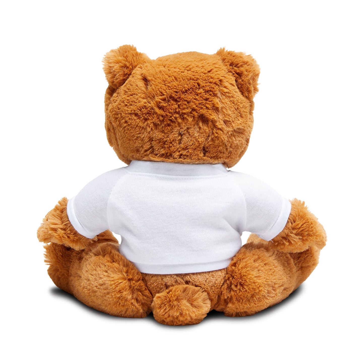 Plush Teddy Bear with quote — Comfort for those hard days