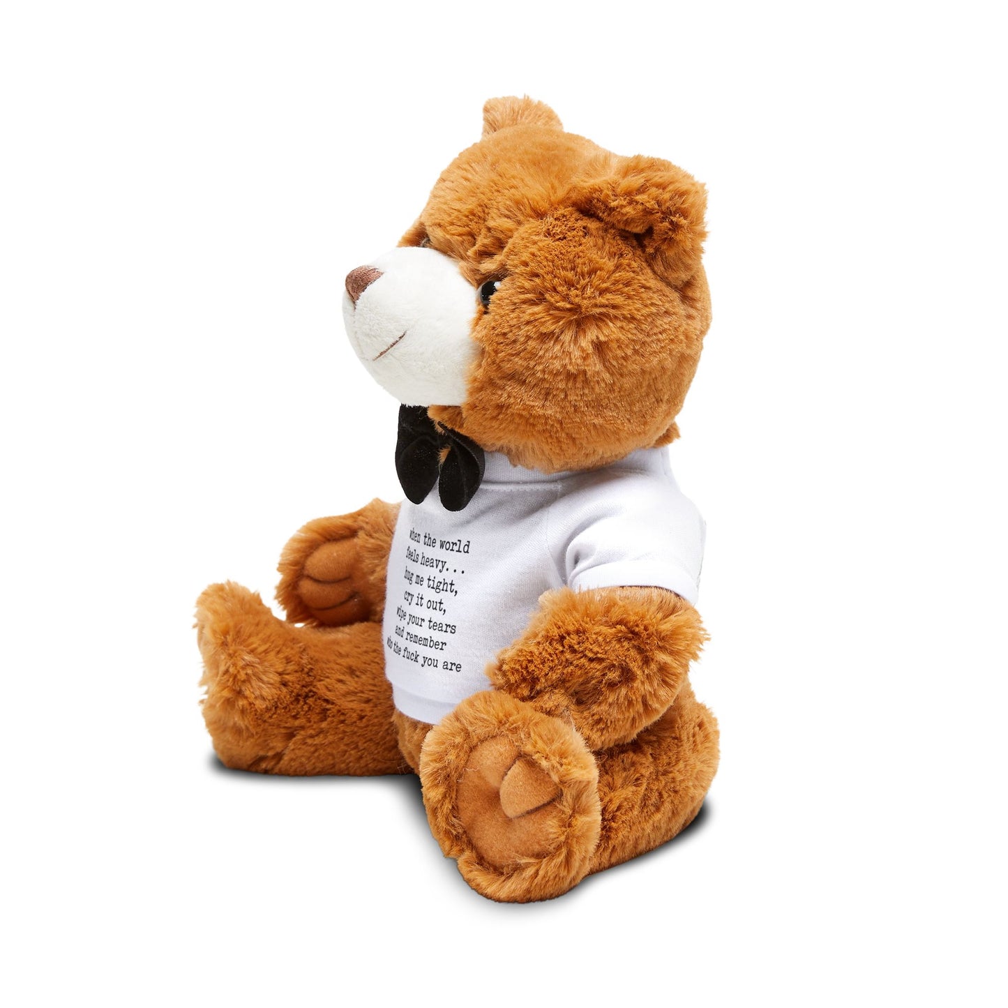Plush Teddy Bear with quote — Comfort for those hard days