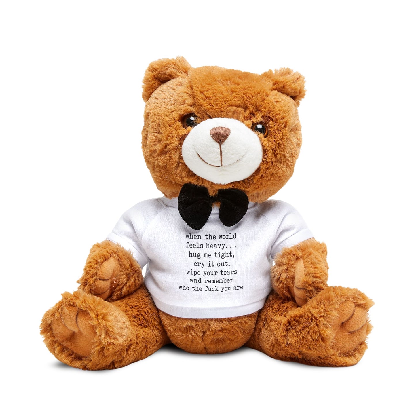 Plush Teddy Bear with quote — Comfort for those hard days